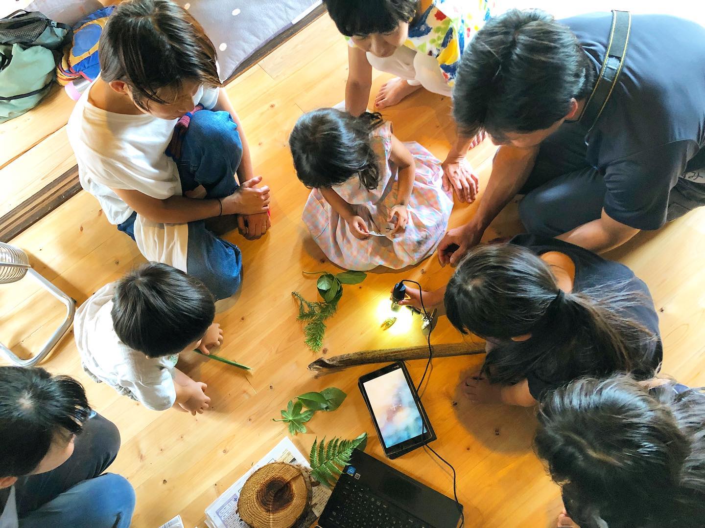 夏休みオープンライブラリー<br>和綴じ体験・竹林朝活・怪奇特集⁉